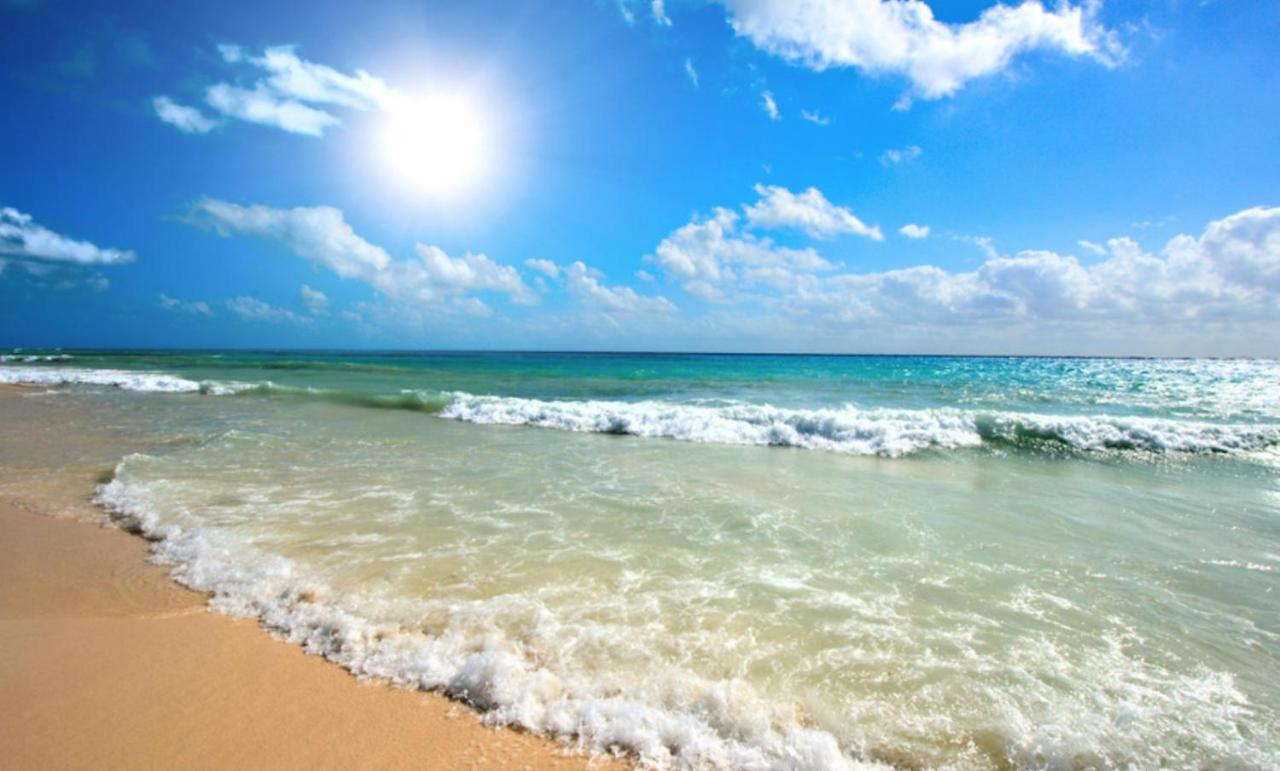 Anita B16 Studio Sunny Beach Ngoại thất bức ảnh